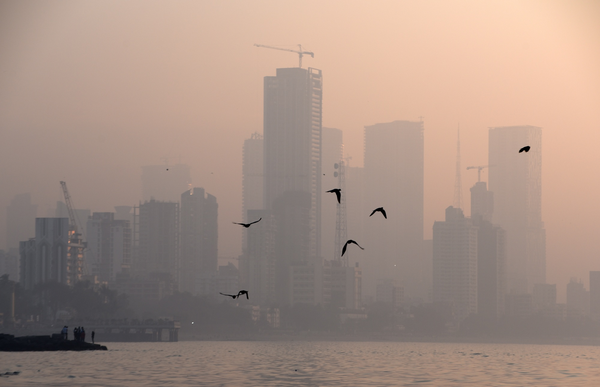 Urbanization: A Cause of Climate Change