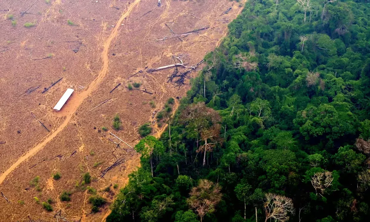 Deforestation A Cause of Climate Change