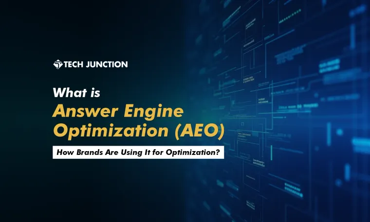 What is Answer Engine Optimization (AEO) and How Brands are Using it to Improve Visibility