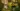 Moss. Virtual Reality Gaming