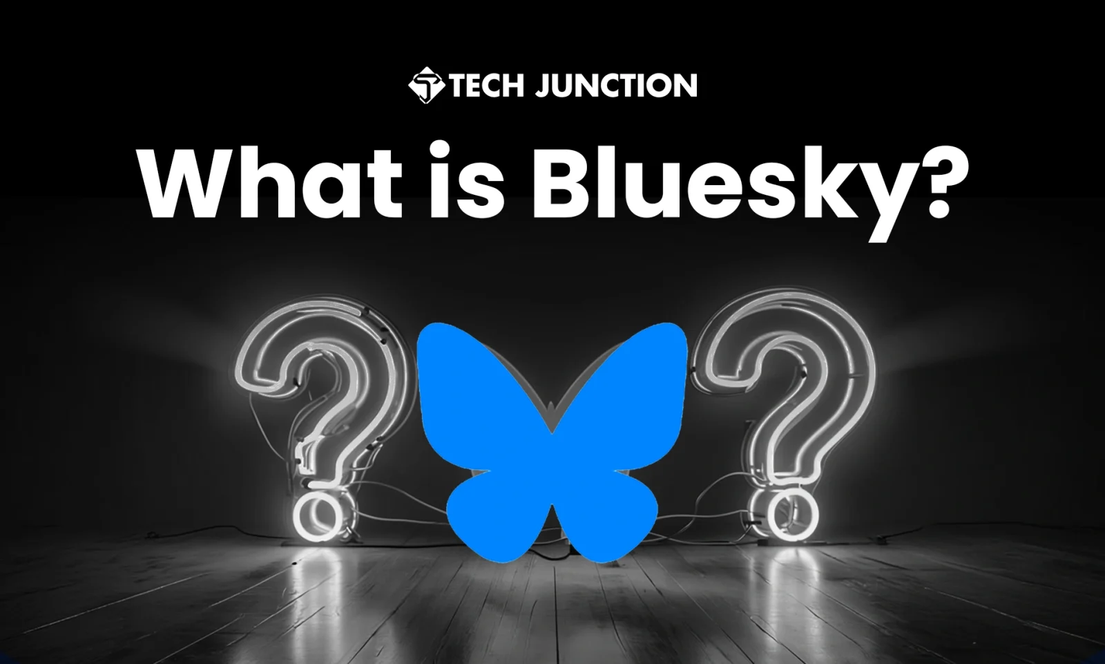 What is Bluesky App? Everything You Need to Know
